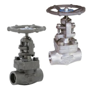 Globe valve socket weld