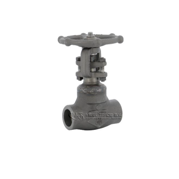 Gate valve, Gate valve thread NPT, forged steel, trim 12, Italy valves, ansi valves, asme valves, threaded NPT, Threaded BSP, 1755, 1750, 1764, 1753, 1759, ASME B16.11, OMB valves, Boney forge, LVF valves, Eriks, Econosto, API, bolted bonnet, Stellite