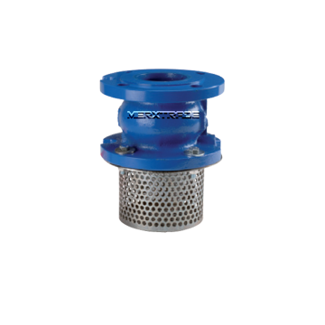 voetklep rvs zuigkorf econosto 135 flens 368 foot valve with strainer