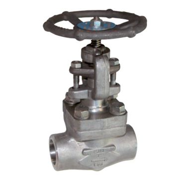 Globe valve trim 10 forged stainless steel 800lbs socket weld
