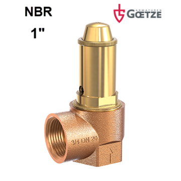 Veerbelaste veiligheid Goetze brons laaglichtend NBR rubber haaks type Eriks527 652 safety valve angle thrade female berluto NBR DN25
