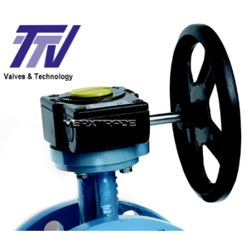Wormwielkast TTV gearbox Excellence range 1197 MXT 40191197