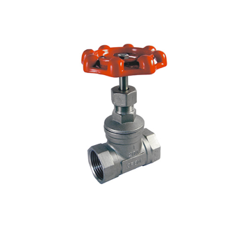 Globe valve stainless steel CF8M, Haitima globe valve female thread, inox valve BSPP thread Modentic