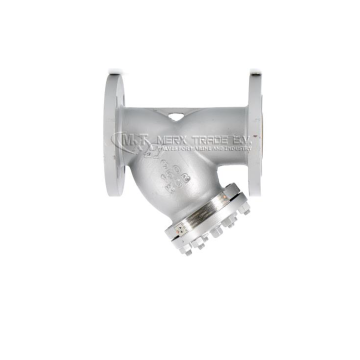 Strainer, filter, mudbox, y type, filter element, liquid filter, oil filter , strainerfilter, econosto, eriks, zetkama, suction strainer, cast iron strainer, steel strainer, stainless steel strainer, industrial strainer, sea inlet strainer, Gas strainer, 