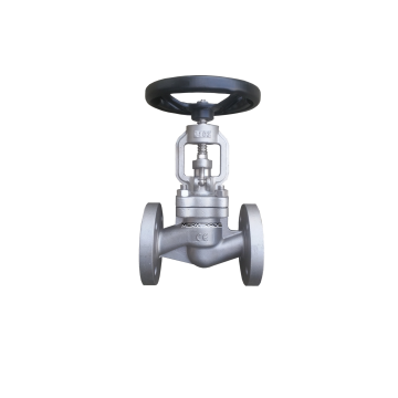klepafsluiter roestvaststaal roestvrijstaal pn40 afsluiterroestvaststaal globe valve stainless steel