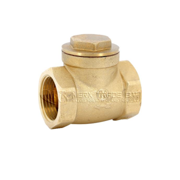 terugslagklep keerklep messing  draad scharnierende klep checkvalve brass swing check