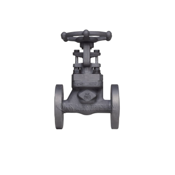 klepafsluiter, klepafsluiter, gesmeed staal, trim 12, Italië-kleppen, ANSI-kleppen, ASME-kleppen, NPT-schroefdraad, BSP-schroefdraad, 1755, 1750, 1764, 1753, 1759, ASME B16.11, OMB-kleppen, Boney Forge, LVF-kleppen, Eriks, Econosto, API, vastgeschroefde m
