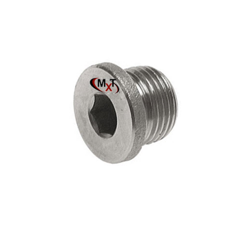 Plug blind hexagon socket collar stainless steel-1.4571-316Ti