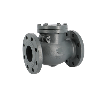 Swing check valve cast iron with flanges, bras seats, type 83, impa  755901, 755902, 755903, 755904, 755905, 755906, 755907, 755908, 755909, 755910