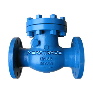 Terugslagklep scharnierende klep staal checkvalve swing checkvalve steel PN16