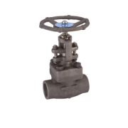Globe valve  socket weld carbon steel TRIM.12 1500#