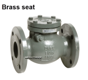 Swing check valve flanged cast iron/brass PN16