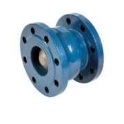 Check valve flanged with spring all positions cast iron/EPDM