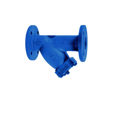 Y-strainer, flanged, Y-type, GG25, AISI 304, PN10/16, Industrial, Webshop