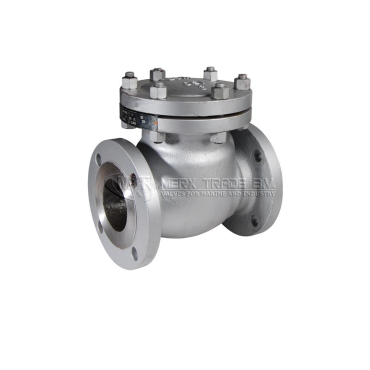 check valve hinged ANSI 150lbs check valve WCB cast steel swing check valve ANSI150LBS flanged forged steel caststeel ASME smith PK YDF Econ Boney forge crane eriks W and O
