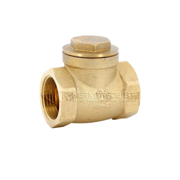 Check valve swing type thread BSP brass