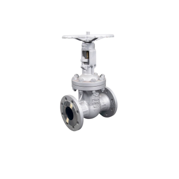 schuifafsluiter industrieel staal PN16 F5 WCB216 petrochemie olieafsluiter stijgendspindel hogekwaliteit eriks gate valve carbonsteel non rising stem 147