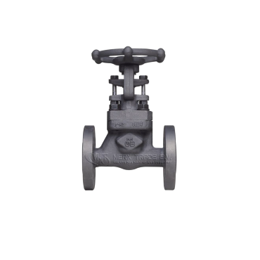globe valve, globe valve socket weld, forged steel, trim 12, Italy valves, ansi valves, asme valves, threaded NPT, Threaded BSP, 1755, 1750, 1764, 1753, 1759, ASME B16.11, OMB valves, Boney forge, LVF valves, Eriks, Econosto, API, bolted bonnet, Stellite