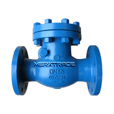 Terugslagklep scharnierende klep staal checkvalve swing checkvalve steel PN16