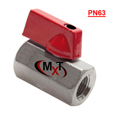 mini kogelkraan roestvaststaal kogelventiel bolkraanmini binnendraad miniballvalve stainlesssteel thread MXT-161063 mini kogelkraan roestvaststaal kogelventiel bolkraanmini binnendraad miniballvalve stainlesssteel thread MXT-161063