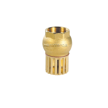 Foot check valve Brass/NBR thread BSPP Foot check valve Brass/NBR thread BSPP